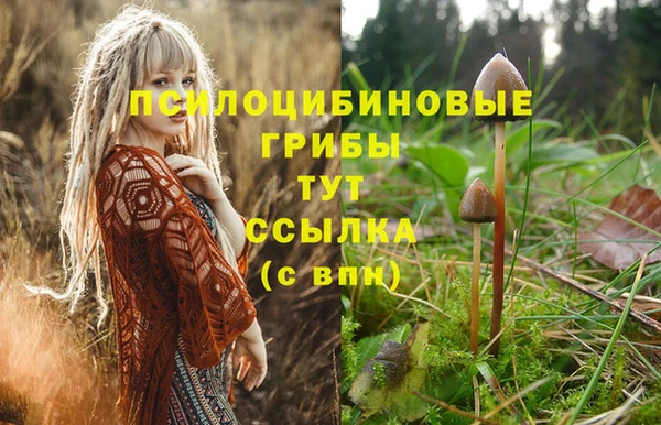 MDMA Premium VHQ Володарск