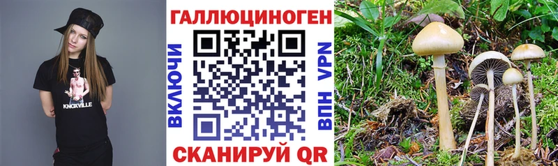 Купить закладки  Обоянь  Галлюциногенные грибы ЛСД 